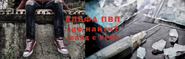 индика Верхний Тагил