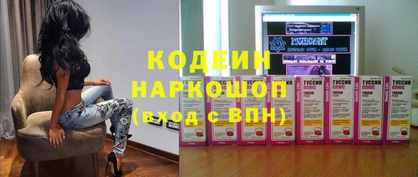 индика Верхний Тагил