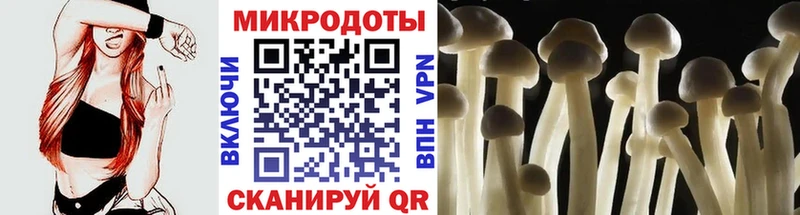 mega ссылка  что такое наркотик  Гвардейск  Псилоцибиновые грибы мухоморы 